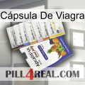 Cápsula De Viagra 11